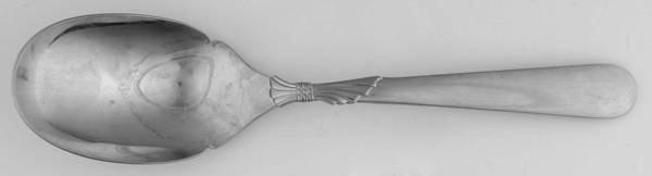Lindi (Stainless-Glossy Finish) Solid Serving Spoon