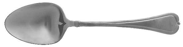 Narcissia (Stainless, Satin Finish) Solid Salad Serving Spoon