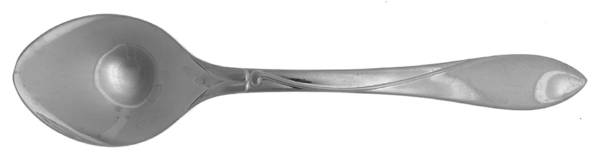 Raceme (Stainless) Solid Serving Spoon