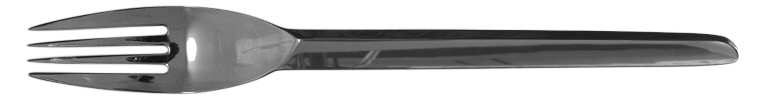 Spectrum (Stainless) Fork