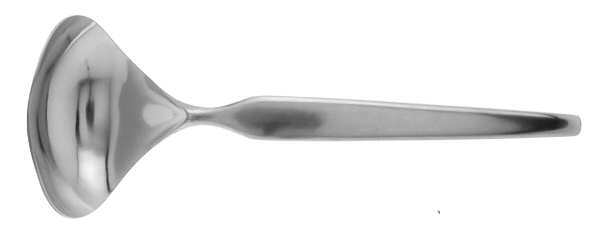 Connections (Stainless) Solid Gravy Ladle