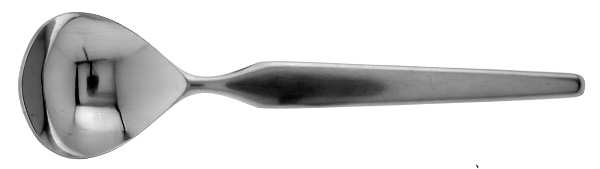 Connections (Stainless) Sugar Spoon