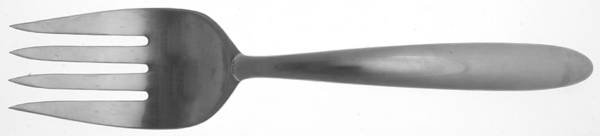 Cite (Stainless) Solid Serving Fork