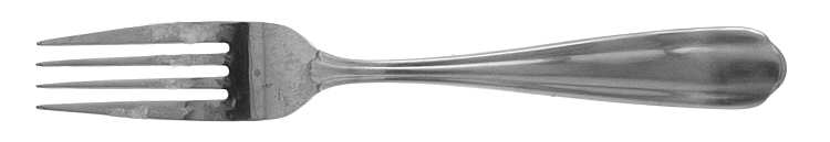 Aurora (Stainless) Fork