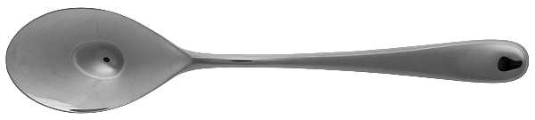 Aquatique (Stainless) Solid Serving Spoon