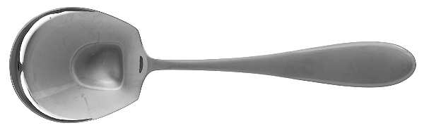 Austen Ice-Harmony Ice (Stainless) Solid Serving Spoon