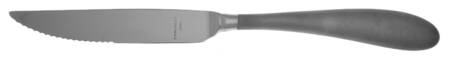 Aquatique Ice (Stainless) Steak Knife Individual Hollow, Serrate HC