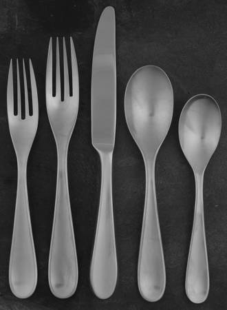 Metaphor (Stainless) 5 Piece Place Setting