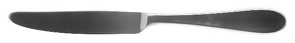 Metaphor (Stainless) New French Hollow Knife