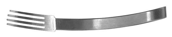 Echo (Stainless) Fork