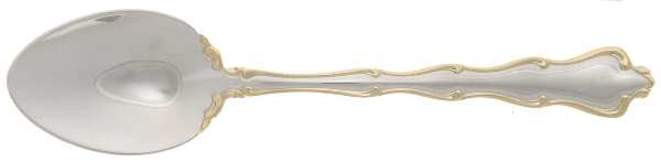 Princess Anne Gold Accent (Stainless, Gold Accent) Teaspoon