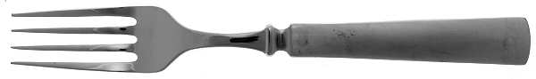 Aspect (Stainless) Fork