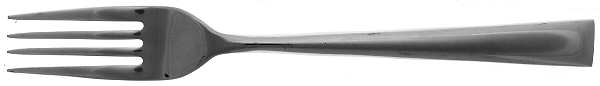 Float (Stainless) Fork
