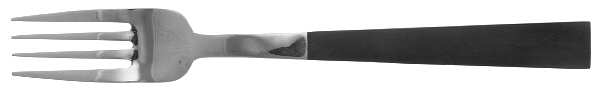 Wright (Stainless, Resin) Individual Salad Fork