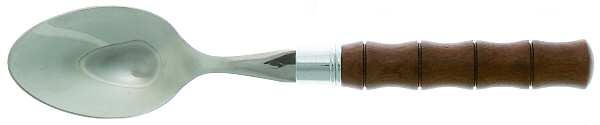 Bamboo Teaspoon