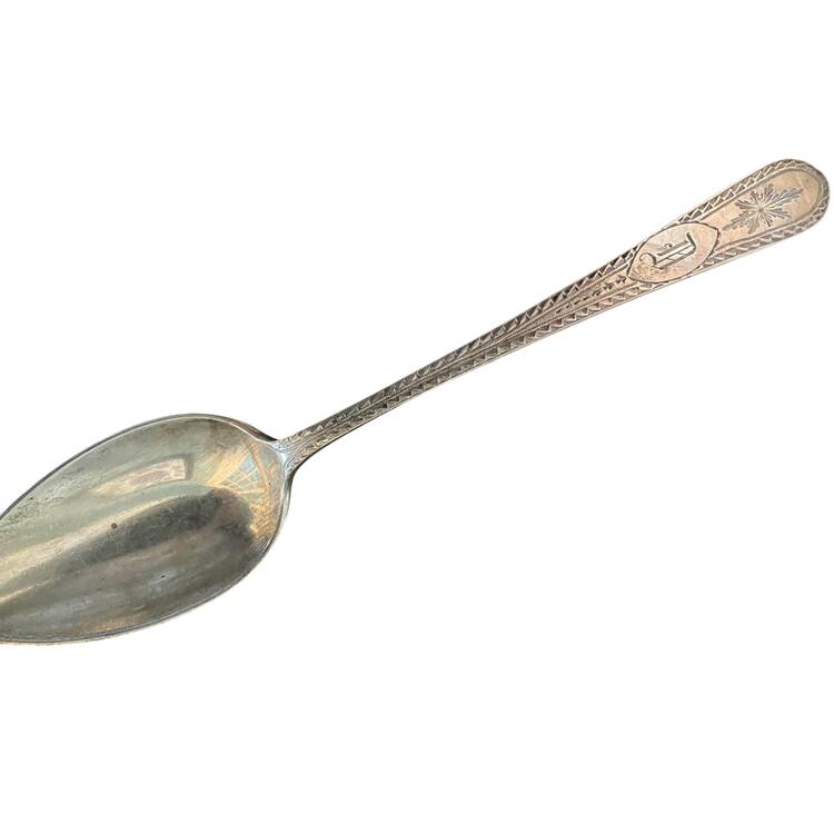 DHS33 Oval Place Soup Spoon