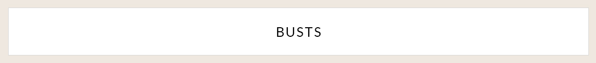 Shop Busts