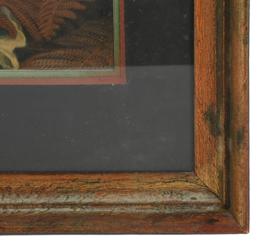 Framed J.S. Hill "A Bevy of Quails" Print-4
