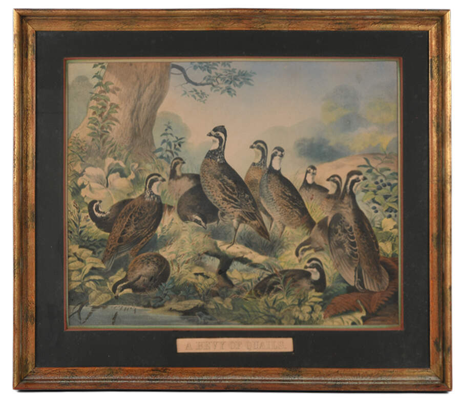 Framed J.S. Hill "A Bevy of Quails" Print-1