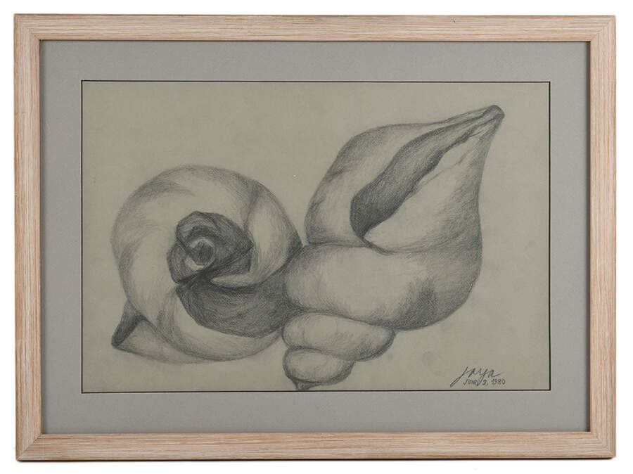 Framed Signed Jose Joya Seashell Sketch on Paper-1