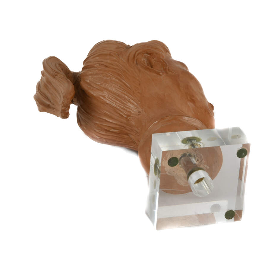 Mirko Moroder Clay Bust on Lucite Base-14