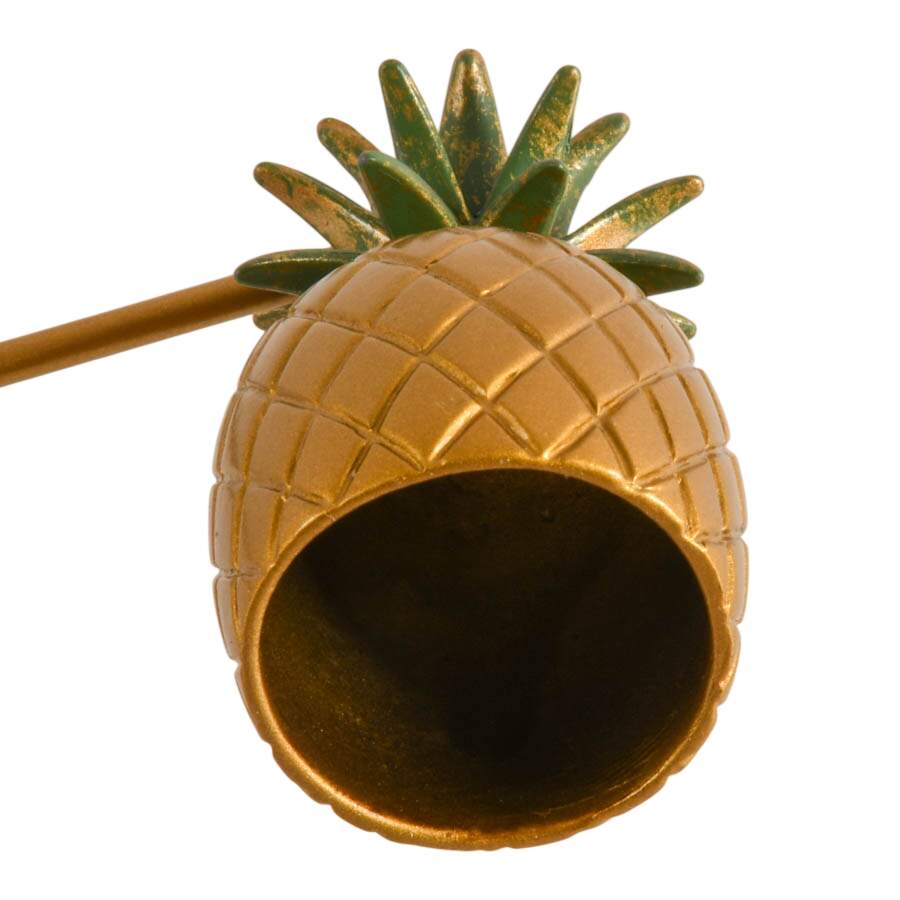 Candle Wall Sconce with Pineapple Snuffer-10