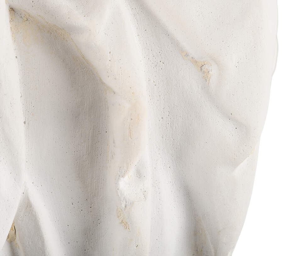 Large Plaster Marie Antoinette Bust After A.E. Carrier-Belleuse-11
