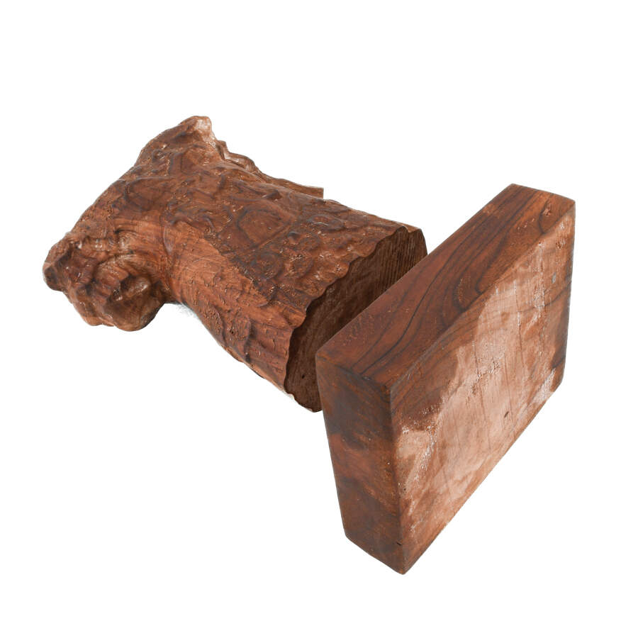 Carved Wood Loricata Statue on Base-7