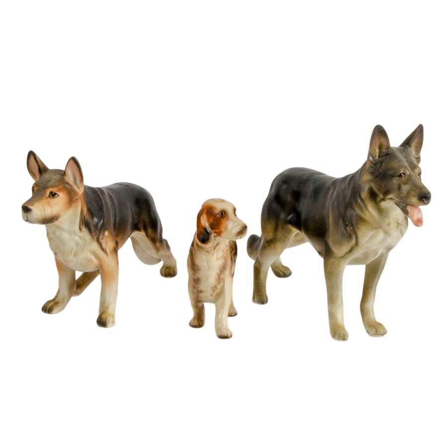 Pack of Friendly Dogs-5
