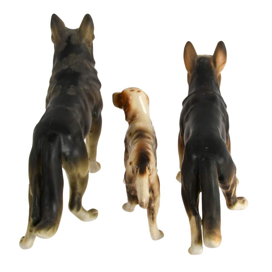 Pack of Friendly Dogs-3