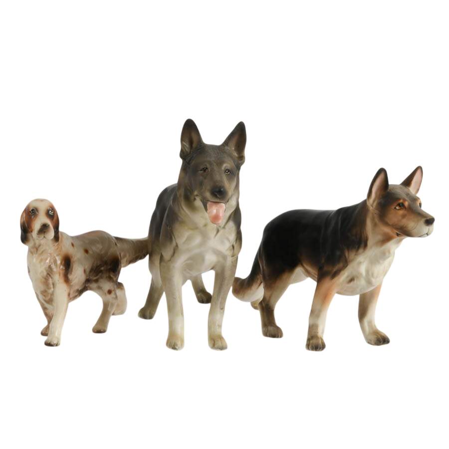 Pack of Friendly Dogs-1