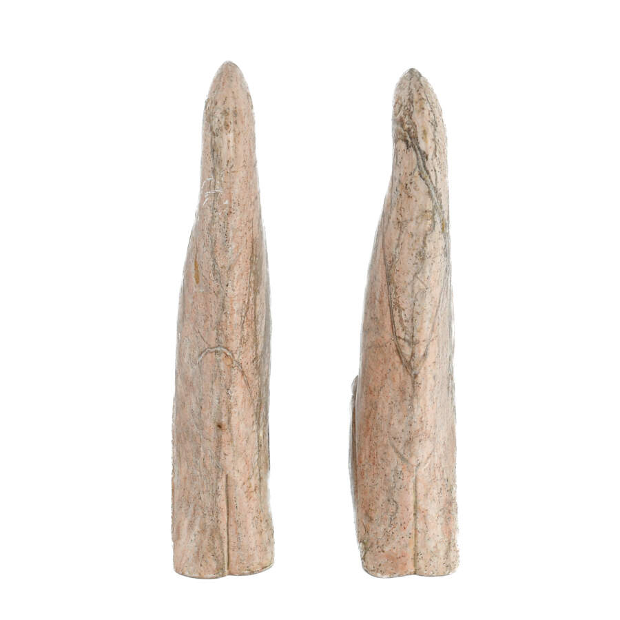 Pair of Stone-Carved Parrot Bookends-9