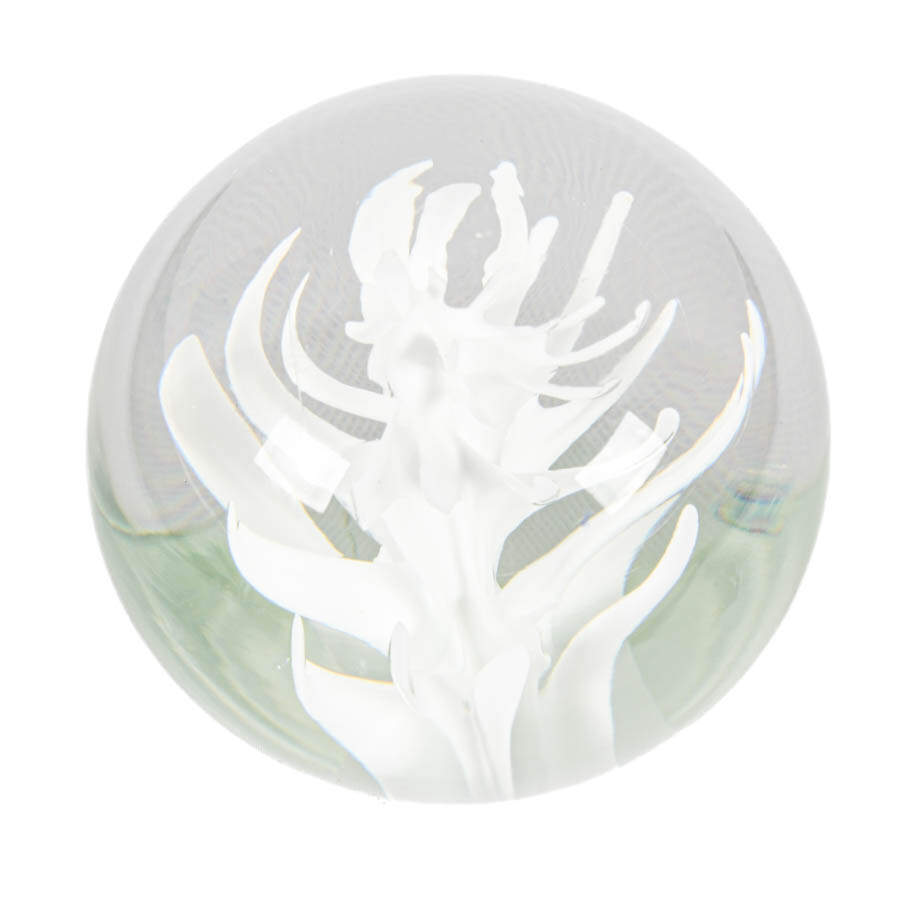 Licio Zanetti Murano Glass Paperweight-5