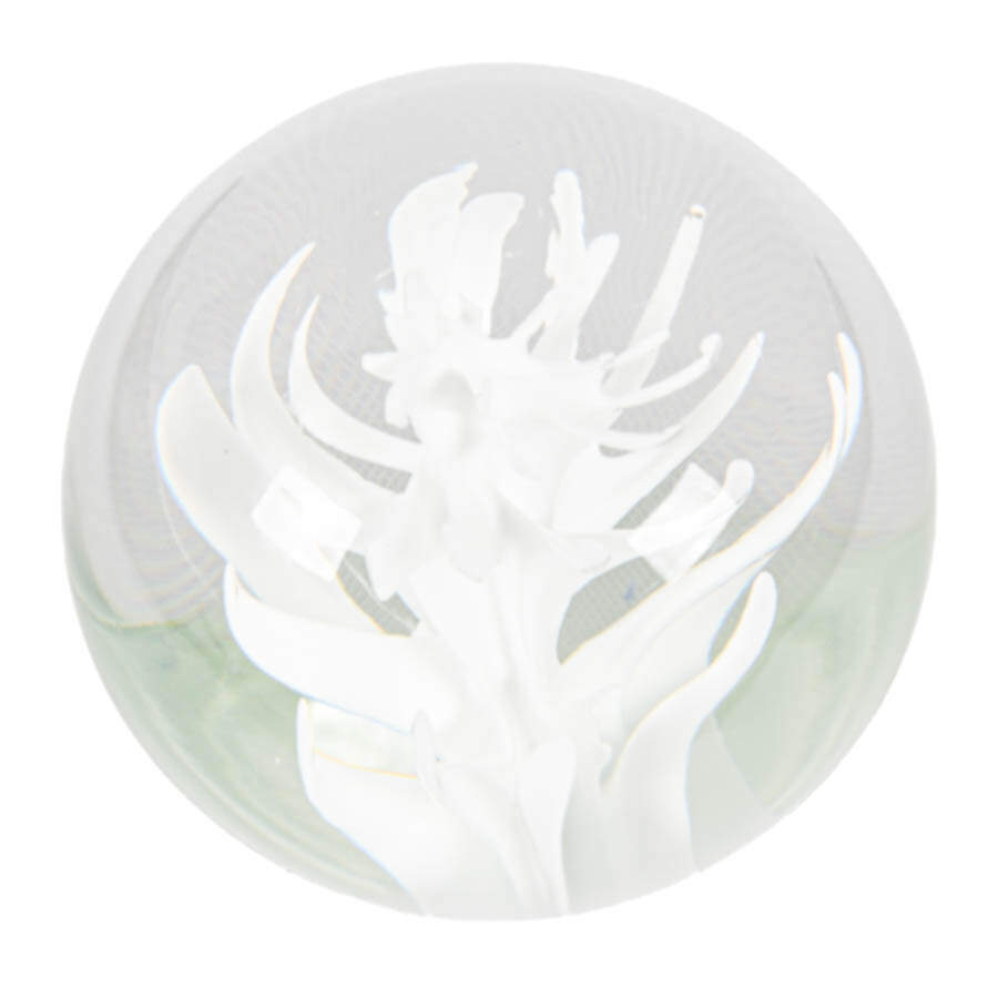 Licio Zanetti Murano Glass Paperweight-4