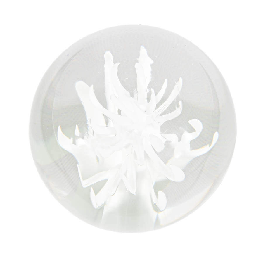 Licio Zanetti Murano Glass Paperweight-2