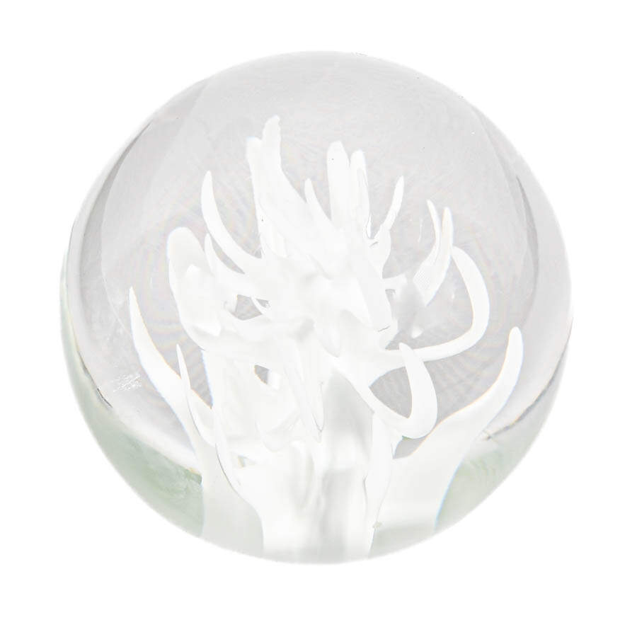 Licio Zanetti Murano Glass Paperweight-1