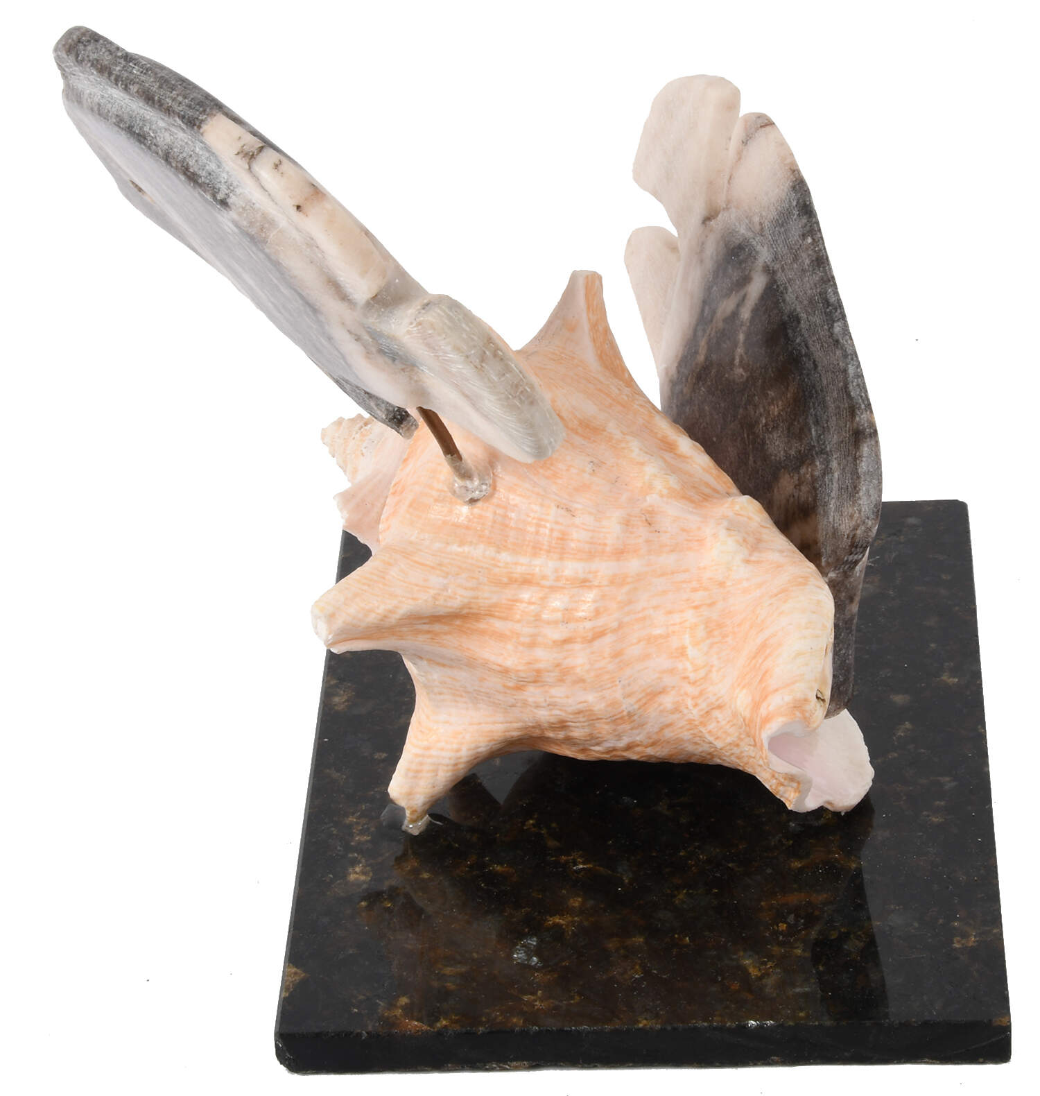 Sturgeon Fish Sculpture by David Paige-4