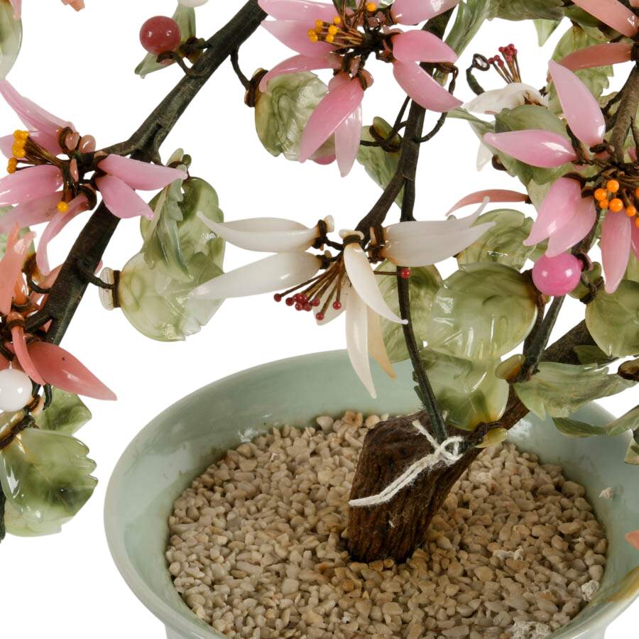 Chinese Bonsai Jade Tree in Celadon Pot-7