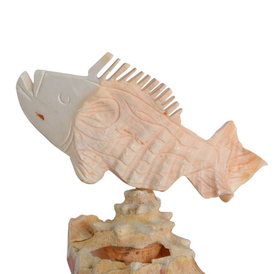 Hand-Carved Conch Shellfish Mounted on a Natural Conch Shell-2