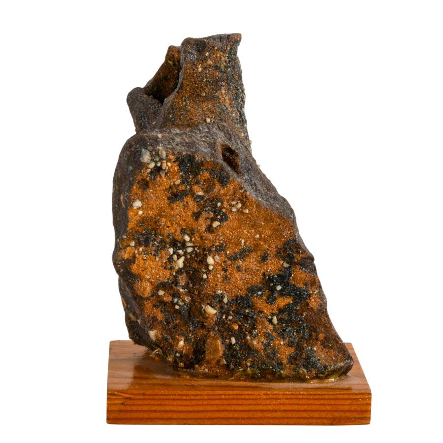 Limonite Mangan German Bog Fossil-6