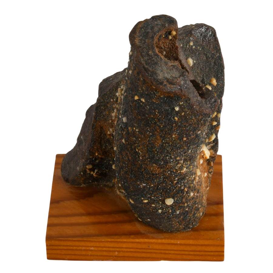 Limonite Mangan German Bog Fossil-2