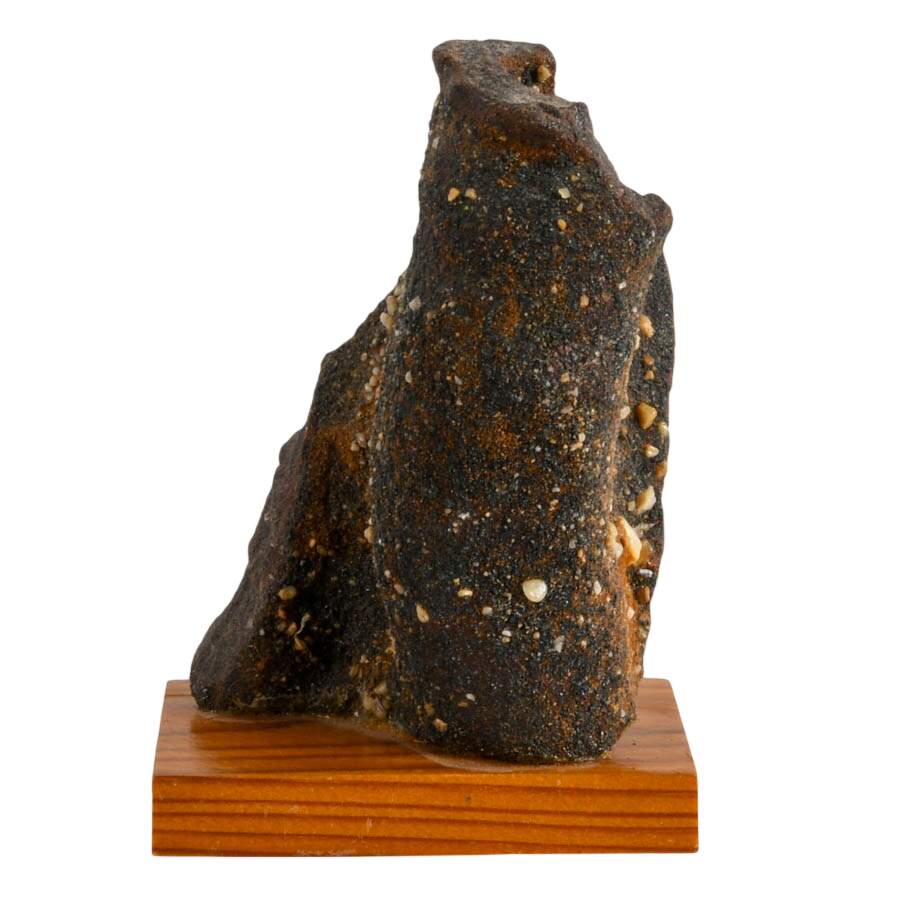 Limonite Mangan German Bog Fossil-1
