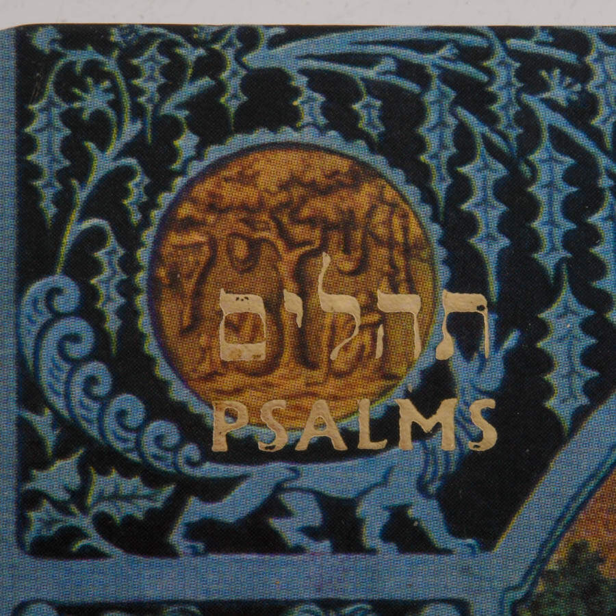 Bronze Menorah with Dual Language Psalm Book and Sterling Ben-Zion Fiddler-11