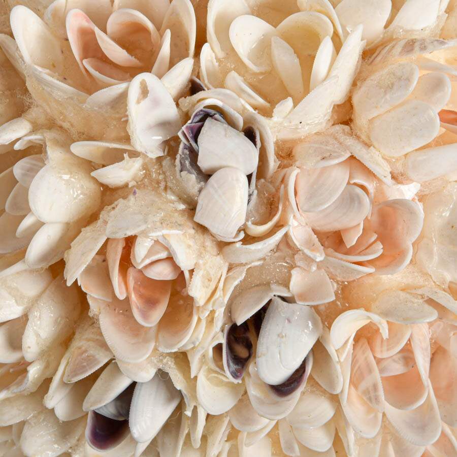 Hand-Made Seashell Pomander Ball-4