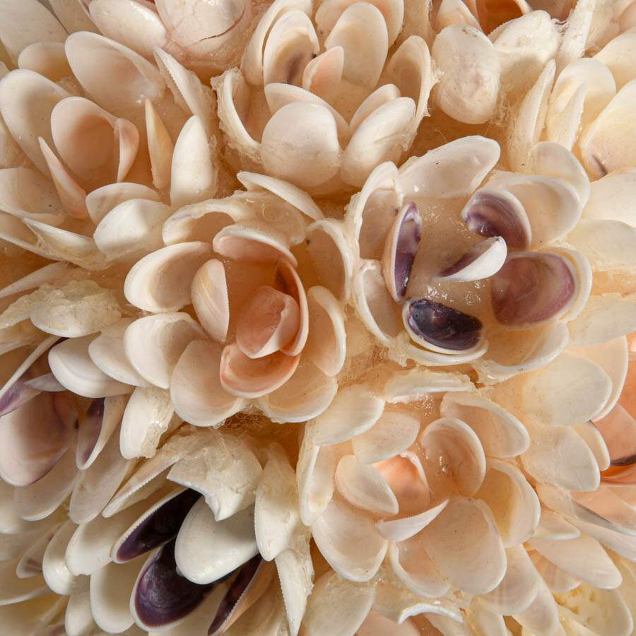 Hand-Made Seashell Pomander Ball-3