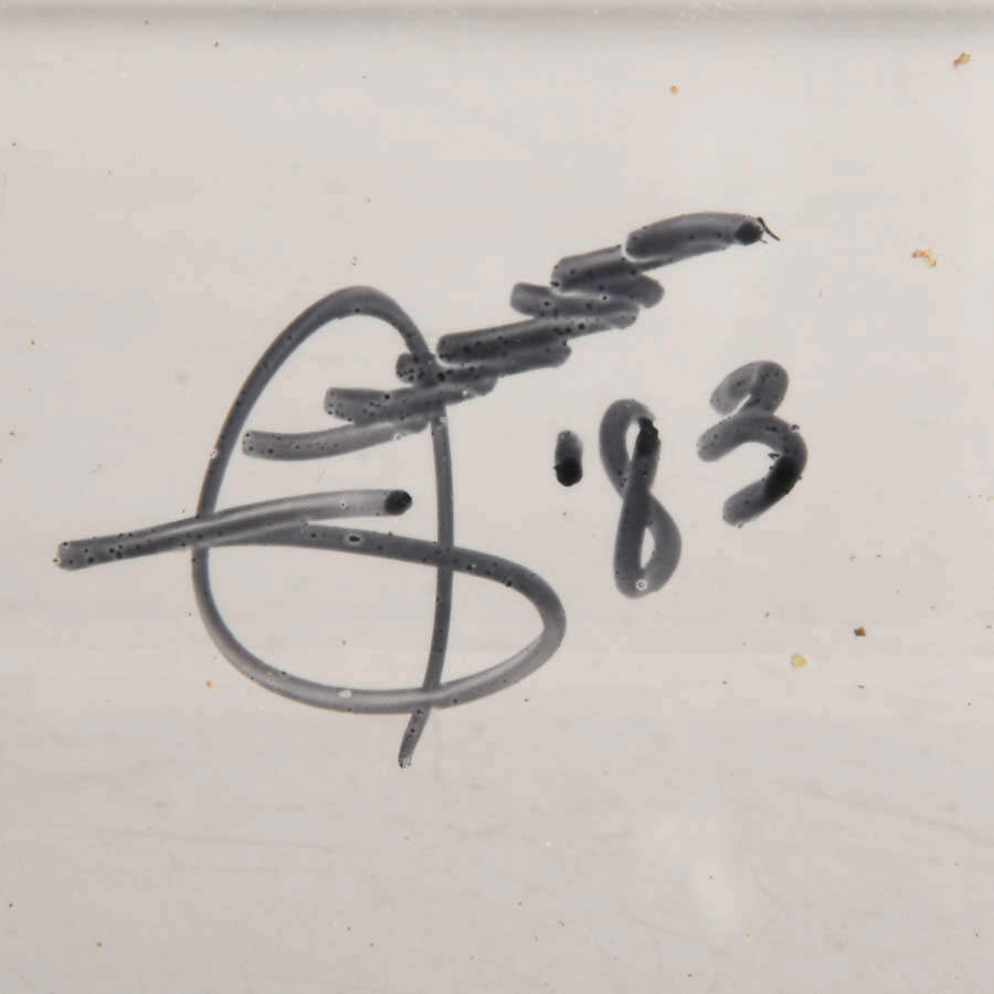 Signed Gold Rim Swallowtail and Common Mormon Butterfly Display Case-6