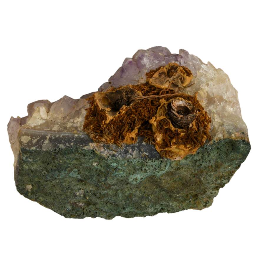 Natural Amethyst Cluster Specimen-6