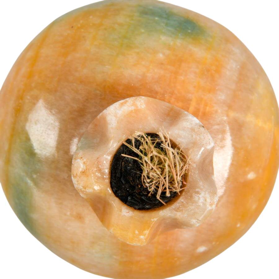 Collection of Eight Stone Fruit and Veggies-7