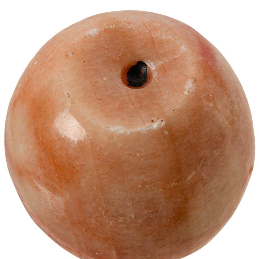 Collection of Eight Stone Fruit and Veggies-4