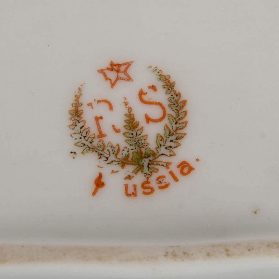 Antique R.S. Prussia Porcelain Celery Dish-6
